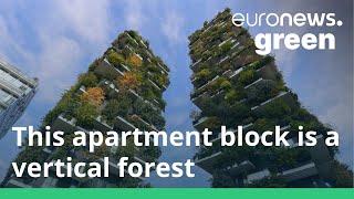 Welcome to the Milan apartments where 300 humans live in harmony with 21,000 trees