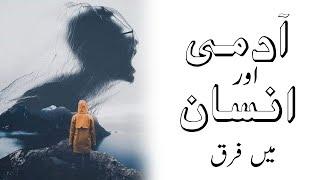 Urdu Zabaan || Aadmi aur Insaan || آدمی اور انسان میں فرق || #اردو