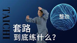 太极的套路到底练什么？什么是整劲？如何训练整劲，内劲，浑圆一气？