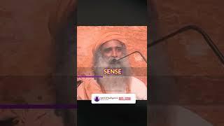 How Should You Live  - Sadhguru Reveals!