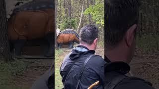 Archery R100 Dino Target Shoot.  Mongolian Recurve.  Thumb Draw.   #recurvebows #mongolianbow