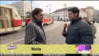 Walda Gang v Nikdo Není Dokonalý 2011