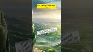 История Пророка Шиса