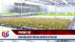 Ngành Nông nghiệp triển khai chuyển đổi số toàn diện