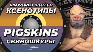 Расы Rimworld - Pigskins или свиношкуры - DLC Biotech