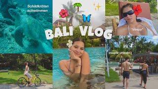 Wir schwimmen mit Schildkröten!! Couple Urlaub Bali  Videozeugs