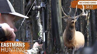 SCREAMING bulls IN YOUR FACE! Bow hunting Elk in the backcountry with Grizzlies