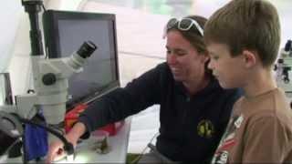 Coastwise North Devon BioBlitz in Woolacombe for B10 - MP4 Version
