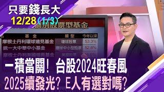 揮別2024年!台股靠台積電狂飆 2025年仍冠絕群雄?主動基金無"積"而返 高息ETF受非戰之罪?【20241228(第1/3段)只要錢長大*鄭明娟(馮志源×朱岳中)】