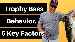 Trophy Bass Behavior and What I Have Learned | 6 Key Factors to Consider When Fishing for Huge Bass