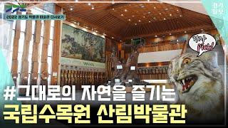 2022 경기도 박물관·미술관 다시보기ㅣ다섯 번째, 국립수목원 산림박물관