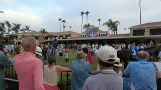 Day at the Del Mar race track summer season 2023.