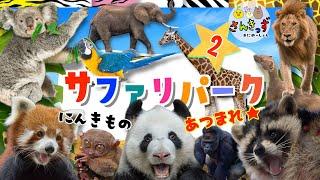 【子供向け 動物園アニメ】サファリパークへ行こう！part2コアラ キリン レッサーパンダなど人気の動物たち20種類の動物の名前を覚えよう◎ 【うごく動物ずかん】動物の知育動画