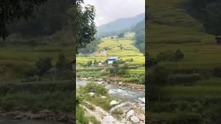 Sapsu khola # khotang mattim#youtubeshorts #shortsvideo