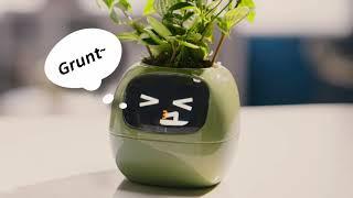 PlantsIO Ivy Intelligent Plant Companion