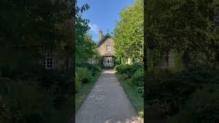 Isabella Plantation #uk #spring #beauty #flowers #garden #travel #shorts #video #london