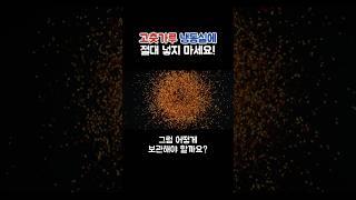고춧가루 냉동실에 절대 넣지 마세요! #쇼츠 #음식 #상식