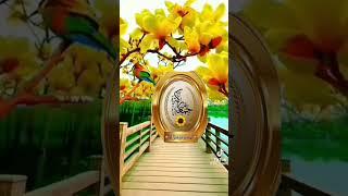 Plz SubsCribe Me#foryoupage#subscribe#1million#ImDisable#foryou#$Dollar$#foryoupag$#fory