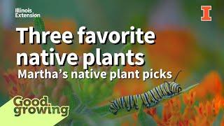 Martha's Picks: Three native plants for your yard | #GoodGrowing