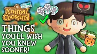 Tips & Tricks I WISH I Knew Sooner in Animal Crossing New Horizons
