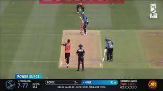 EVERY David Payne BBL12 Group Stage Wicket 