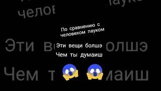 эти вещи по сравнению с человеком пауком