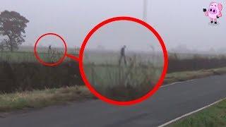 8 Mythological Creatures Caught on Camera