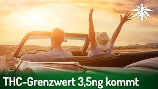 THC-Grenzwert 3,5ng kommt | DHV-News # 426