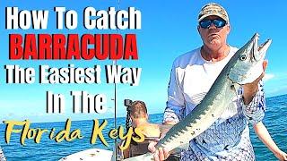 How to catch BARRACUDA in the Florida Keys | Easiest Way HOW, WHERE, LURE & GEAR