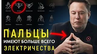 You Won't Believe What These Hand Gestures Do to Your Brain - A Bridge to the Secret Code. Part 2