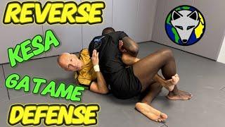 Reverse Kesa Gatame/ Darce Defense & 5 Finger Guillotine vs. Reverse RNC |S:6 Ep:30 #rollwiththefox