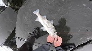 2025 May NJ Surf Fishing: Stripers in the Suds