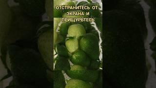 #саблиминал #подсознание #бессознательное #осознанность #психология #иллюзия