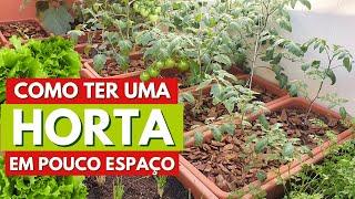 COMO TER UMA HORTA EM POUCO ESPAÇO! MINHA HORTA EM 6 METROS QUADRADOS E DICAS DE CULTIVO!