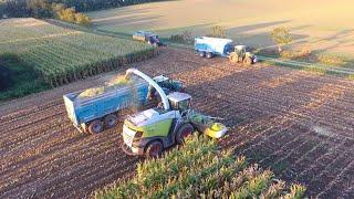  Ensilage de maïs 2023 / Claas Jaguar 970 de l'ETA Le Breton / Deutz Warrior