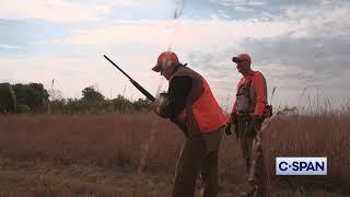 TIM WALZ uses Beretta A400 gun for pheasant hunting expedition Sleepy Eye Minnesota 10-12-2024