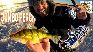 How To Catch Jumbo Perch Ice Fishing DEAD STICK with JAW JACKER