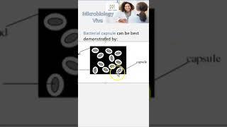 Microbiology 047 Bacteria Capsule Negative Stain mcq