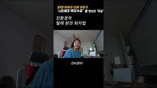 벌레 식충이 #shorts #식충식물