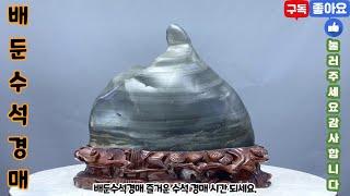 배둔수석경매 25년 6월 16일 월요일 즐거운 수석 경매 시간 되세요. 수석 수석경매 수석경매장 수석경매실시간 실시간수석경매 실시간경매