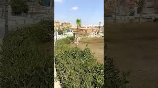 كيف نستقبل رمضان ونجهز القلب لشراب من نهر الايمان