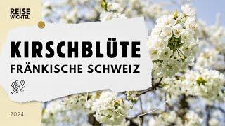 Kirschblüte in Pretzfeld - Fränkische Schweiz | Relaxing Video | 2024 | 4K