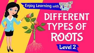 Different types of Root | Level 3 | Tutway |