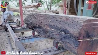 Biggest Babul wood at working sawmill indian workers cutting @SMWChanel