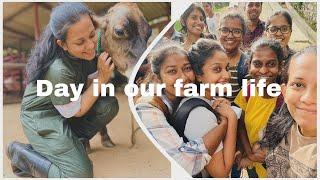 Typical day in our final year clinicals… #farmrotation #vetstudent #veterinarymedicine #srilanka