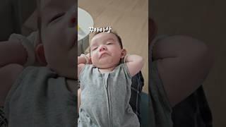 격한기지개 [2탄] #밥먹으니졸려요 #존귀탱 #아기 #두두 #baby #cute #육아일기 #신생아 #육아브이로그 #귀여운아기 #cutebaby