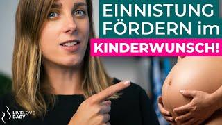 Kinderwunsch | Gebärmutterschleimhaut aufbauen | Einnistung fördern