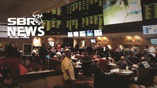 Find a Top Rated Online Sportsbook using the Rating Guide