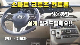 스마트 크루즈 컨트롤