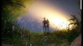 The Correlation Between Women and The Rib of Man